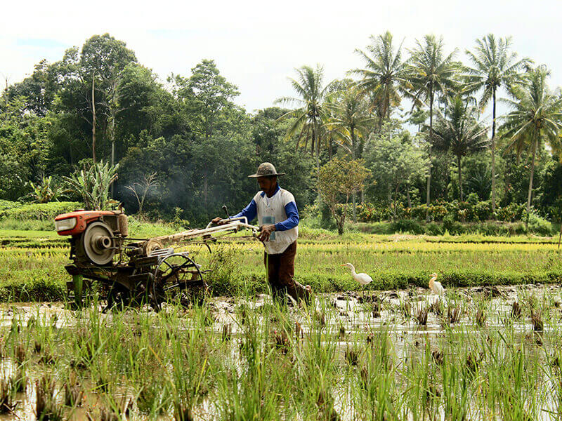 Drought in Taiwan Pits Chip Makers Against Farmers