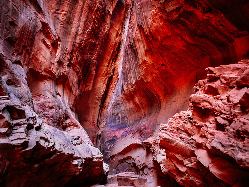 These Rocks Made a 1,000-Mile Trek. Did Dinosaurs Carry Them?